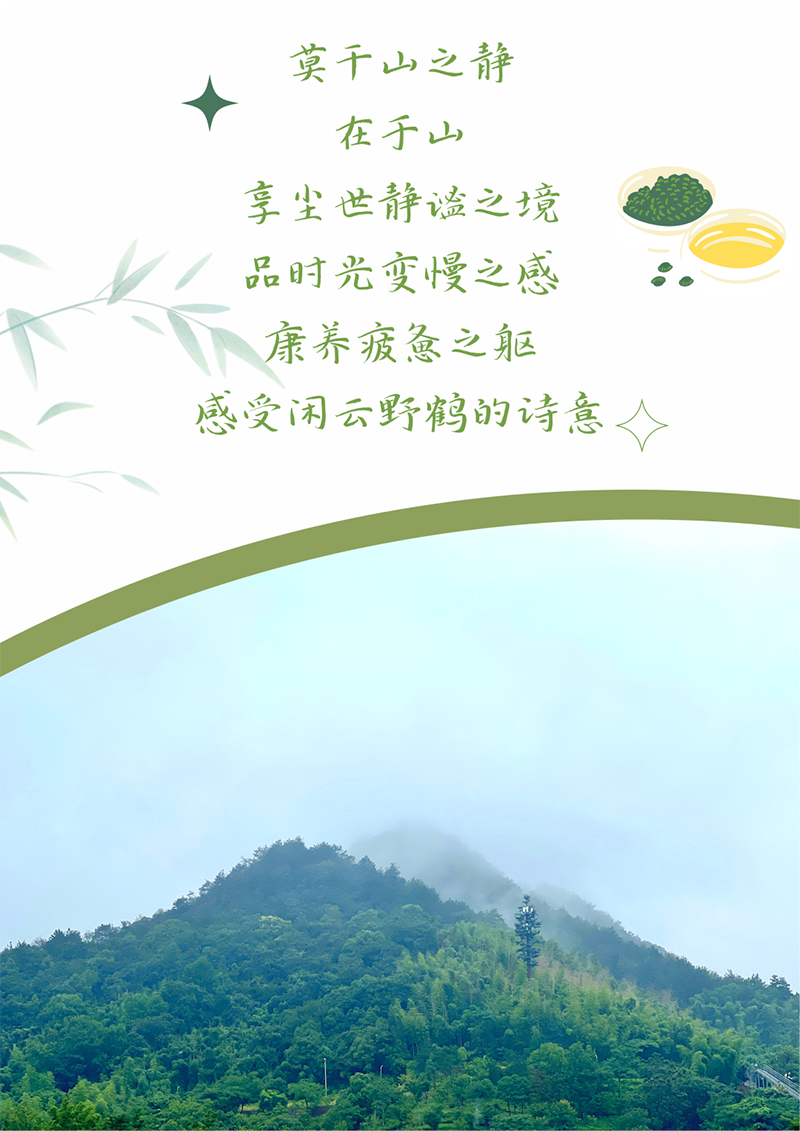 心心念廿 相伴bifa必发 | 与德清相约 贺廿载诞辰